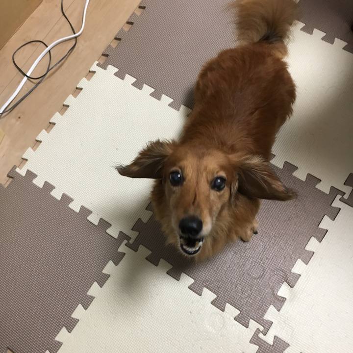 40bfae93 82f9 41b3 9ed6 56c2511b3647 1569330741439