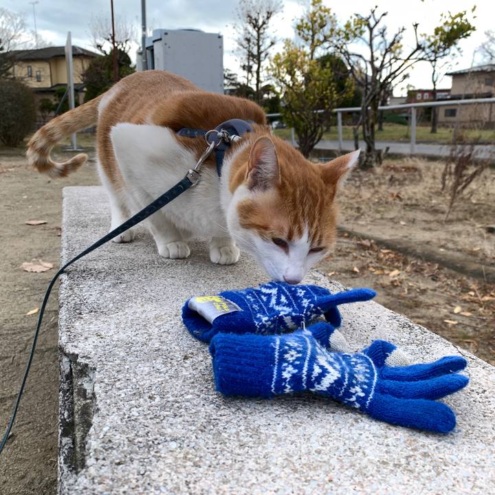 40bfd7ec ea06 4626 b4fd 0ac2a80958ce 1575123503058