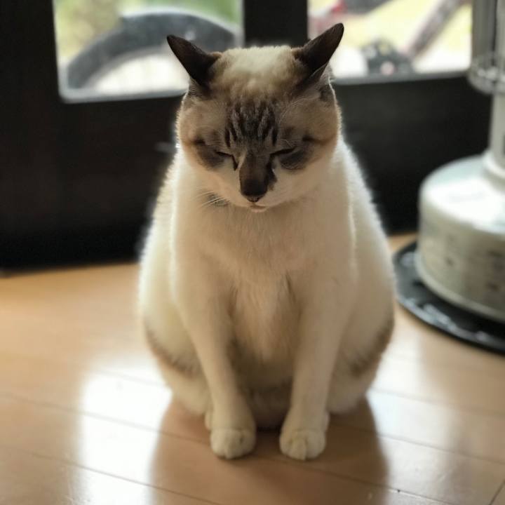 40bfe4cc 3ac1 441d a654 16a3b7bc673d 1518918555550