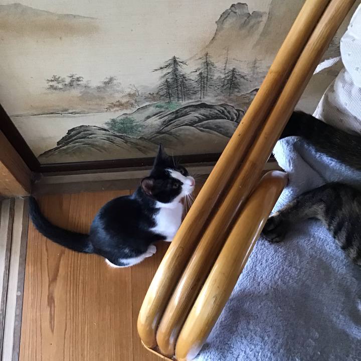 40bff9df e9e5 4b87 ae92 c391859cad01 1627703321576