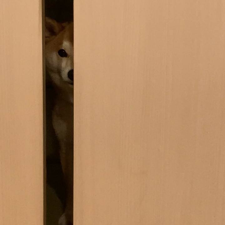 40c0455a 1cd1 4012 a7c4 e778ce32b3ae 1682035206070