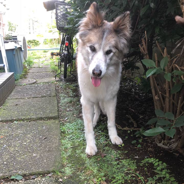 40c086e8 9008 403a 93c5 ef947f2de92d 1539575083684