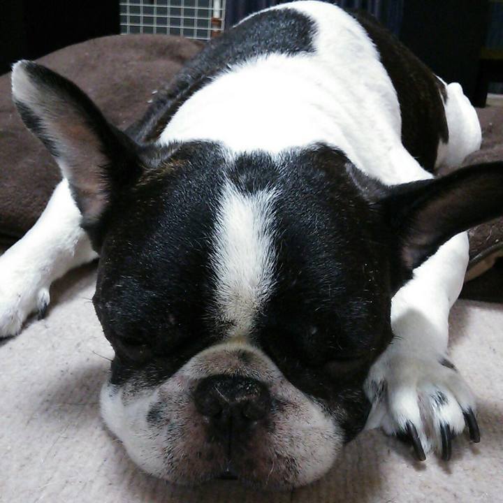 40c0f178 5c6e 41f2 8a28 d544149ecae2 1507774817463