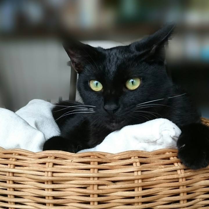 40c10012 b191 47e4 9102 26d952c1d67b 1507792422684