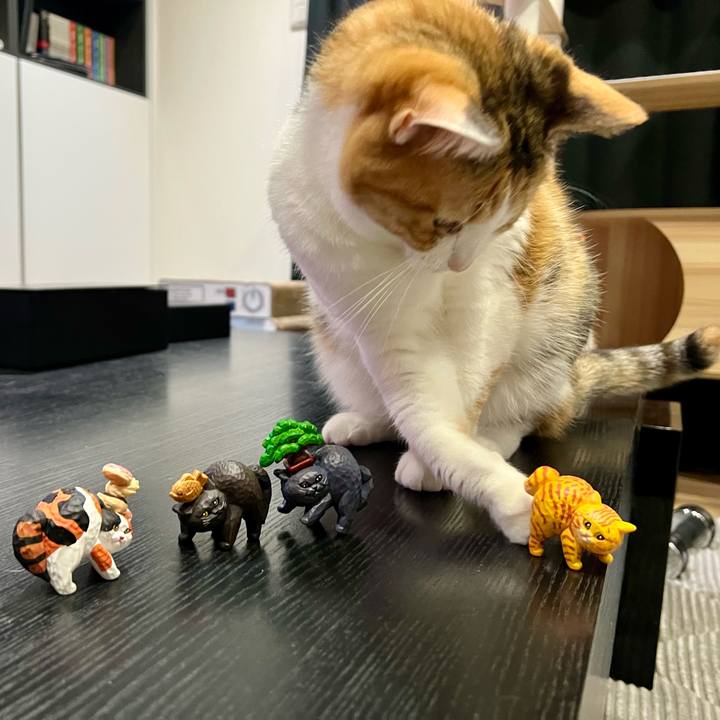 40c14150 ef44 4194 aa88 e1606f19a7e0 1765109959962