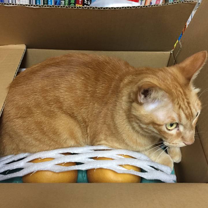 40c19bb9 a054 475b a2c5 8c3c5caeae85 1540045742649