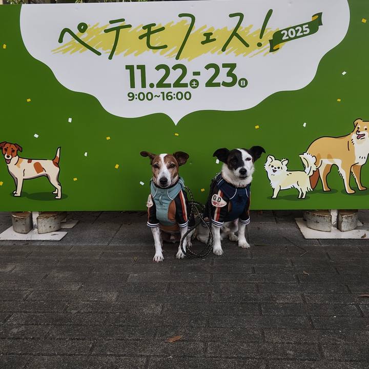 40c1a678 8004 47aa a29e 47d7c4cd9724 1763793575825