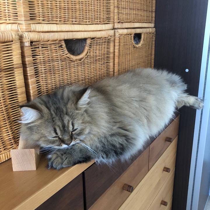 40c1ae5c 7219 426b adb2 f3cf3738350e 1537282955878