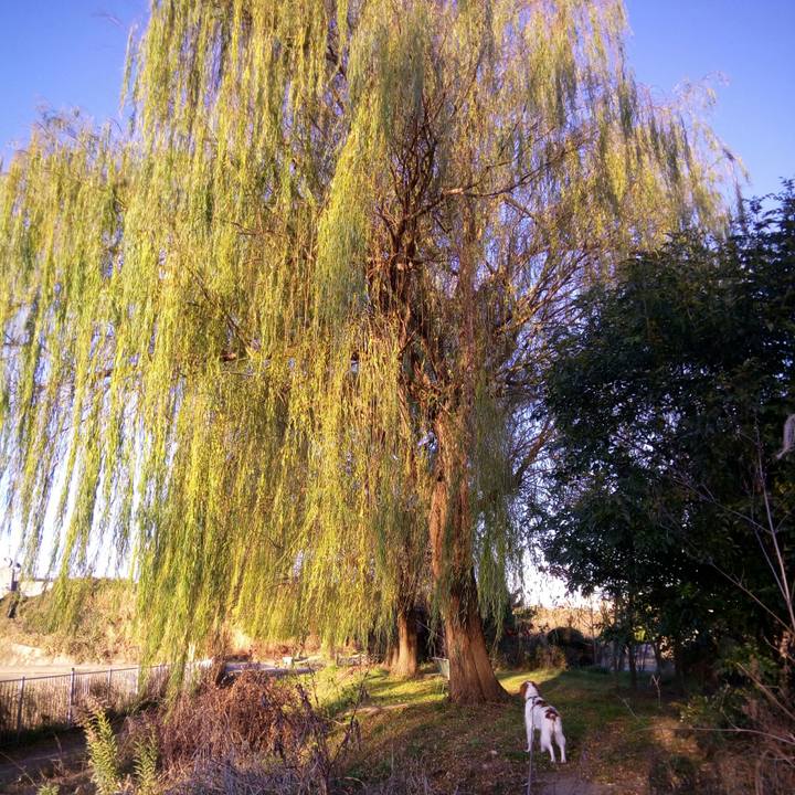 40c1e149 bae3 4301 a004 cfb7f023f367 1513037301945