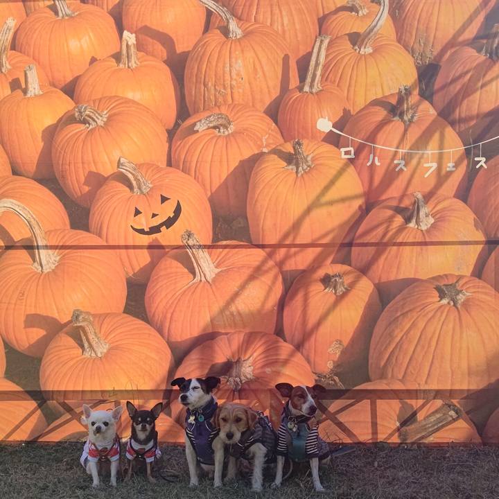 40c232fb a776 4f96 a017 b4e8e512e256 1698072400074