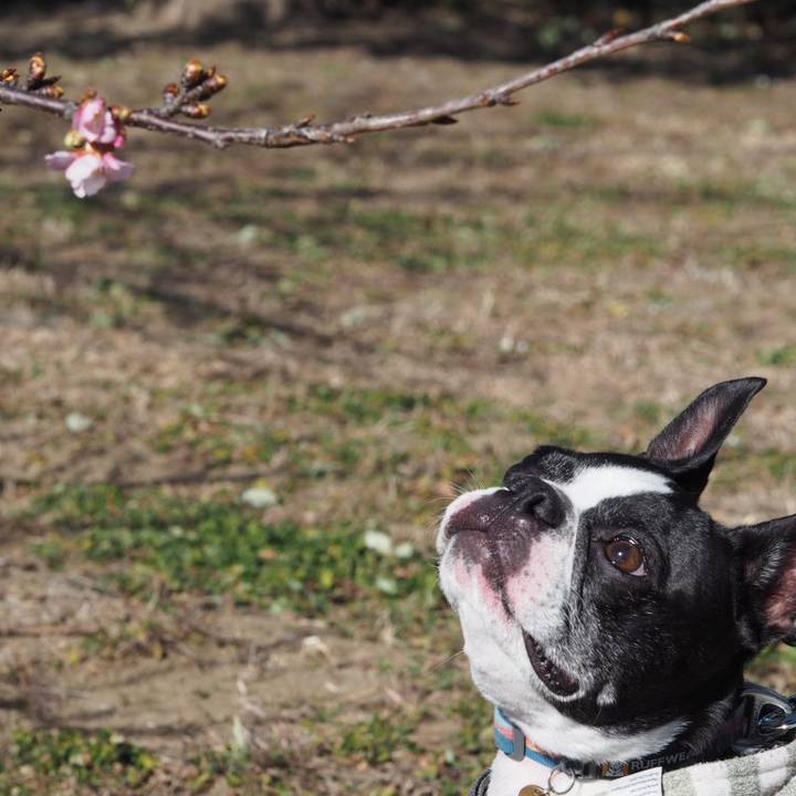 40c23f1c 6a81 44d0 952c 704f78ee3148 1675574623573