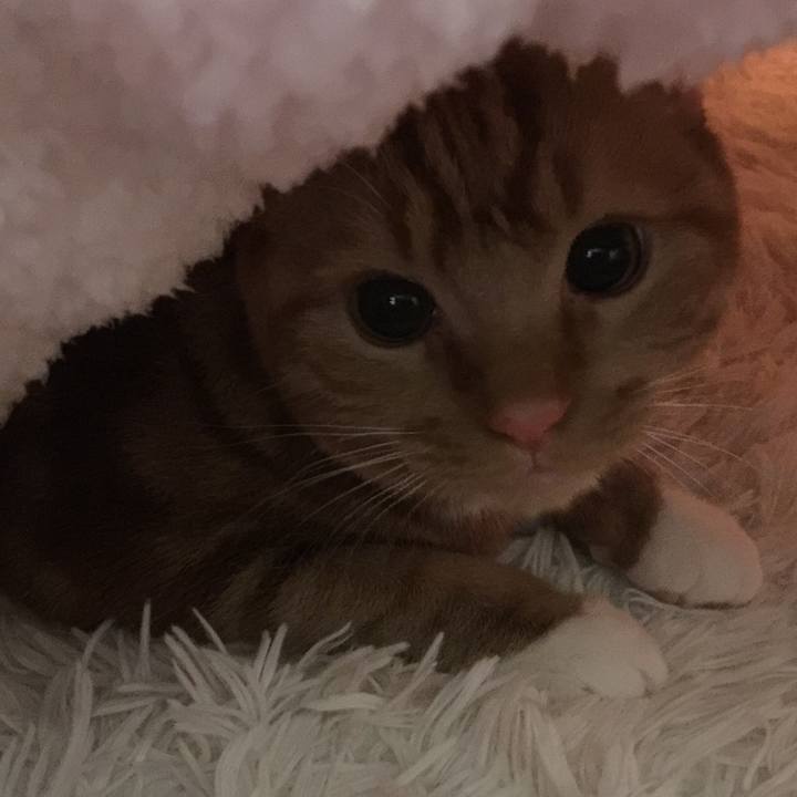 40c247b6 eae6 4696 b159 eee63ccebaf9 1514301686873