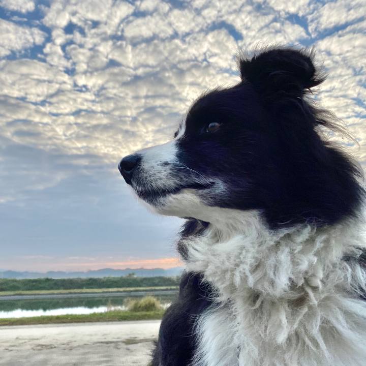 40c25641 c7af 445f 96a4 4bf1b80411ce 1605569271134