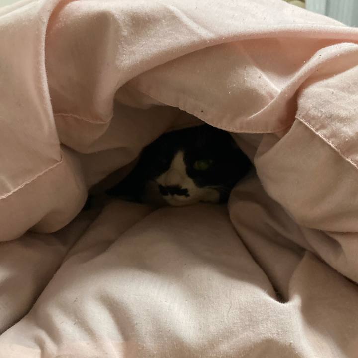 40c2d09e 5436 4912 a0b9 a9b97878013e 1734057025756