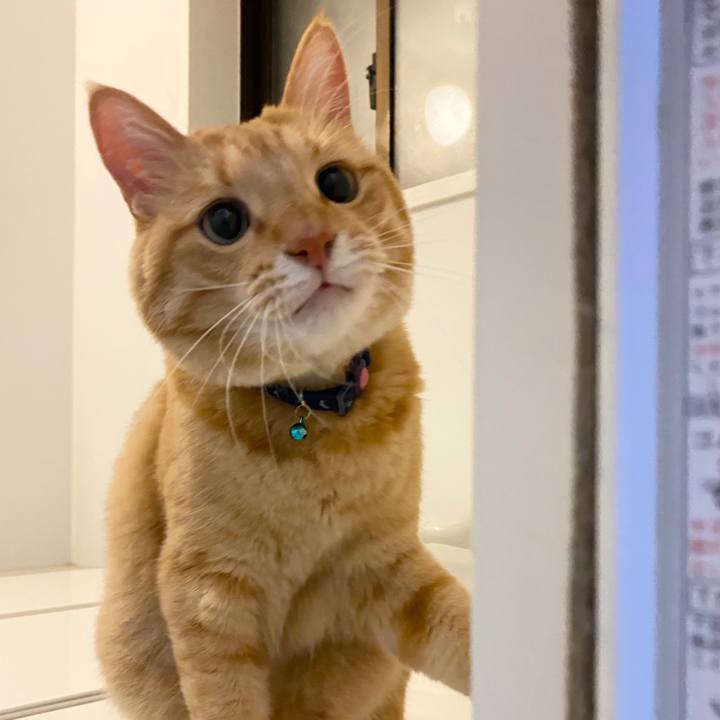 40c2d42d c3a6 418f 8a15 d3c52a781e48 1602638507278