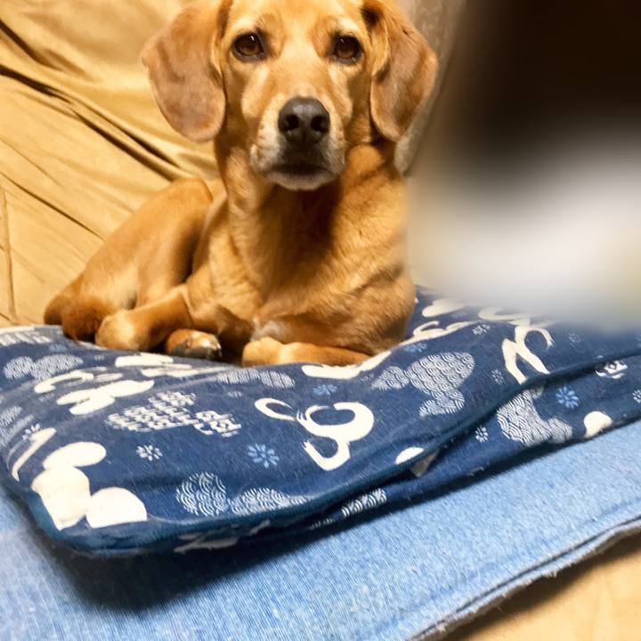 40c340c4 6aa3 46ea 9461 721075aa5e65 1552888689382