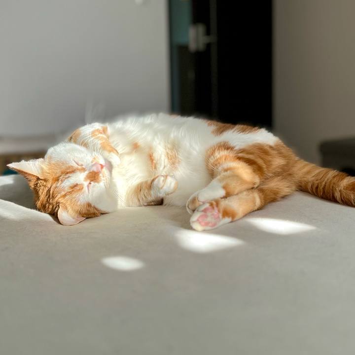 40c39989 7154 4e5f 860d 7bef7e7efa61 1758678164813