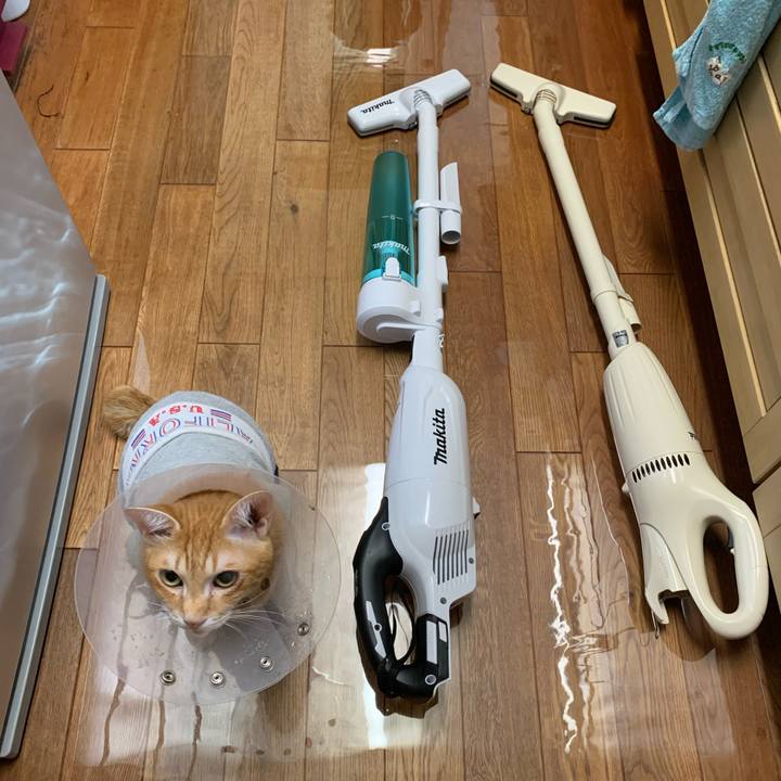 40c39caa 5737 4e3b b6a3 b9e8332324aa 1633516210806