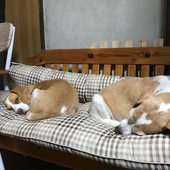 40c3acdc a977 421e 8e67 4a95e45fc969 1509877150331