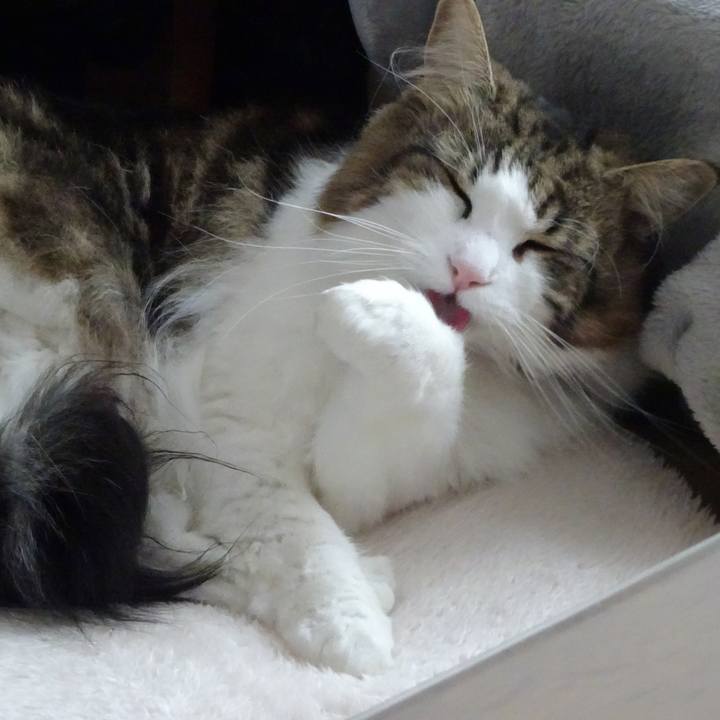 40c3af97 ae8e 4ed3 a949 b0ce43905398 1576212102090