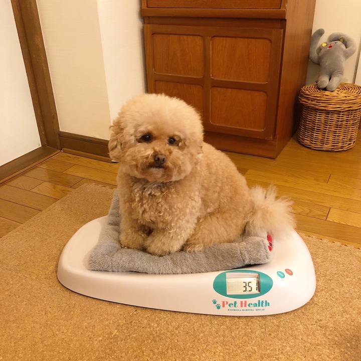 40c3da6f 4176 4ca7 bc12 8c9ba7cacc7b 1512210902671