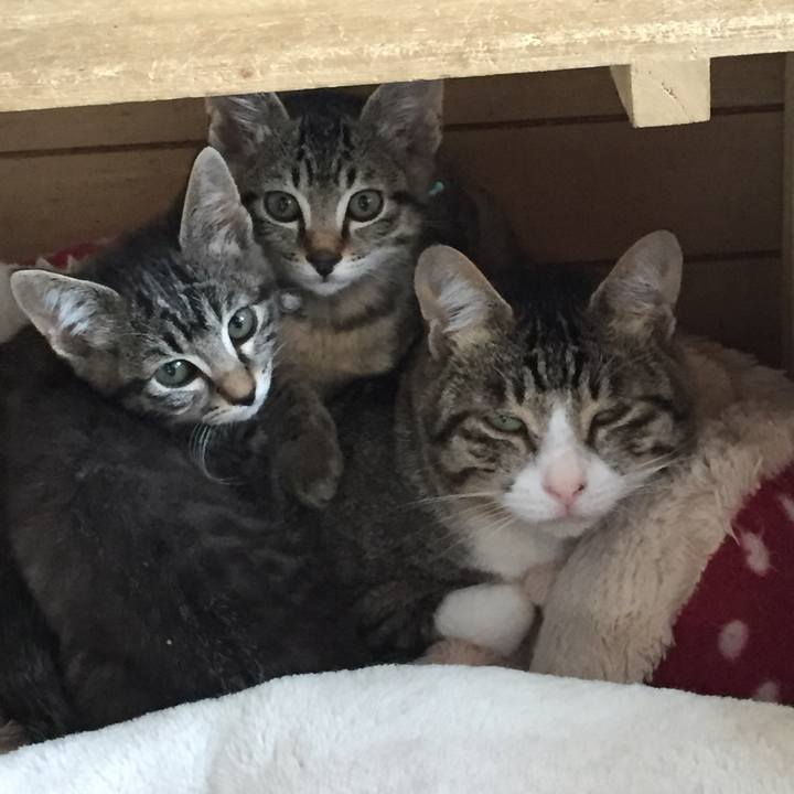 40c3e3e3 503b 43c1 b8a6 f8df46460a59 1527116525894