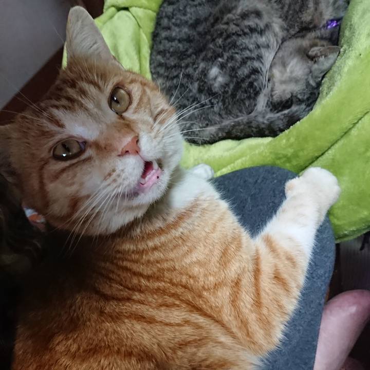 40c403e7 38e6 40ea bff5 7a4cf12a72d1 1584228167235