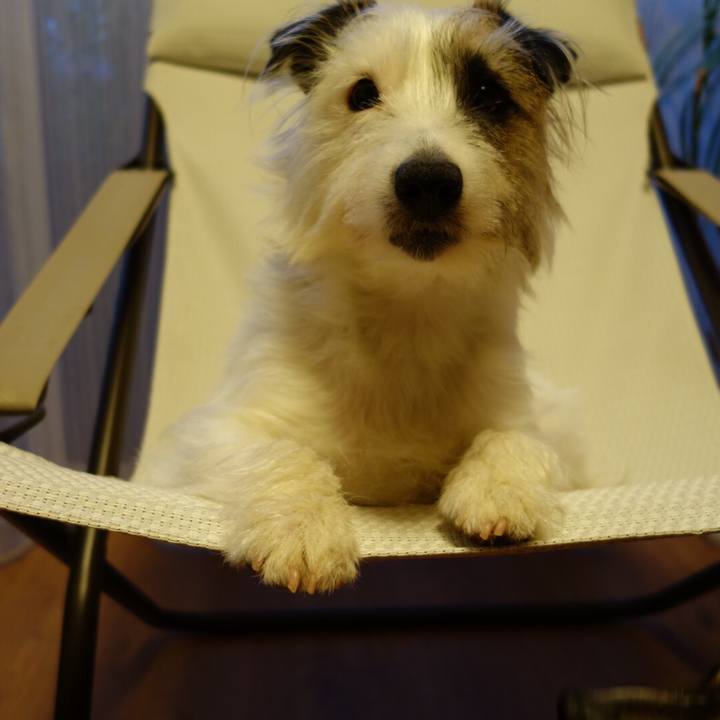 40c416d8 f164 476a a5ce 819b06b474c4 1553602217978