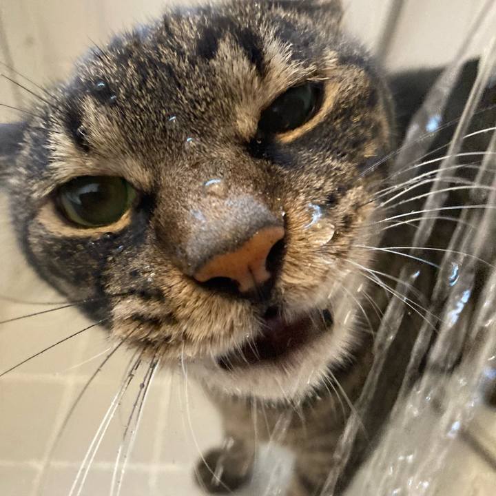 40c42b0f 4a20 44a4 bba1 c2fd0cbd2ec6 1695009381415