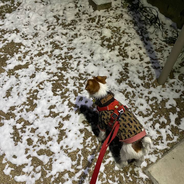 40c42e31 22c7 42dd 87c1 557dd2ad2655 1674598010493