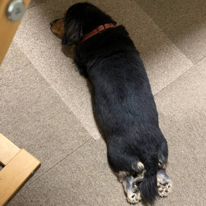 40c460b4 9102 41a3 b409 44fb838cc9fc 1575837439899