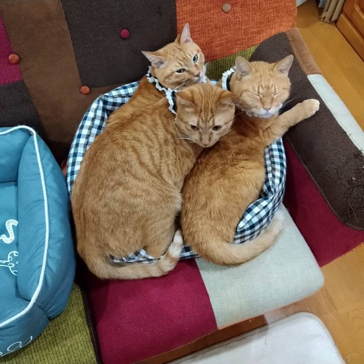 40c491c2 41e6 4625 8357 bffe9e79a90a 1602493817161