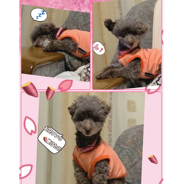 40c4a086 f74c 4934 8720 160073b7d8b8 1648287477424