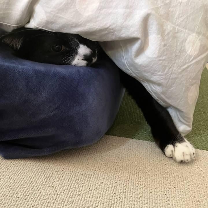 40c4a80f b3f4 4de2 9967 0e57c4efa03e 1675827515078