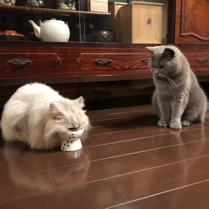 40c4d736 f05f 4a52 bd84 4f1c2e1296f6 1570447822536