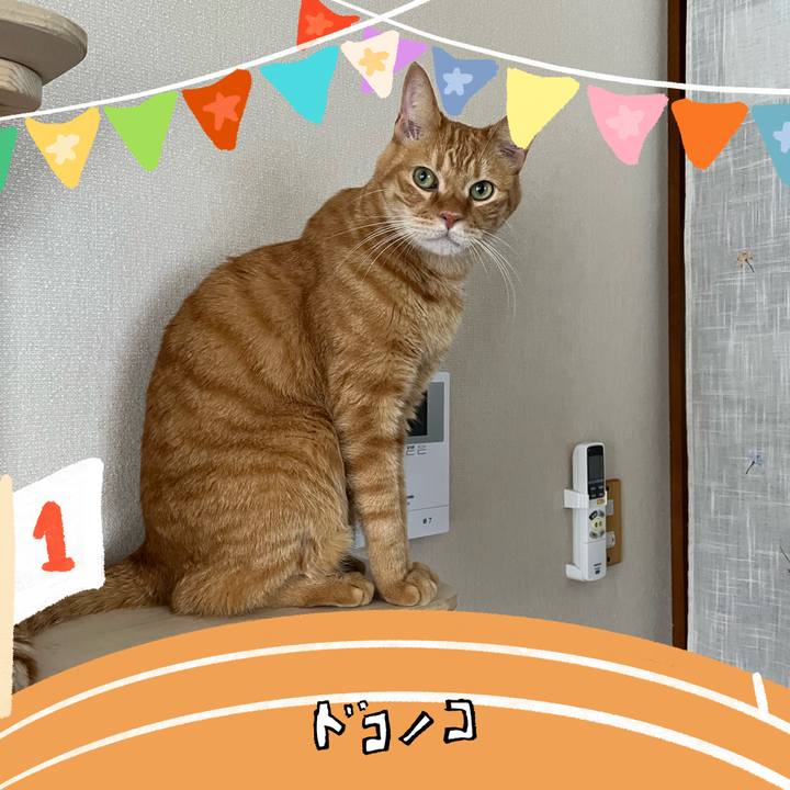 40c50071 0607 4ea4 89e6 519807a350f6 1761124266330