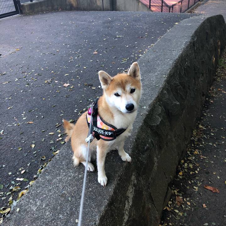 40c5266c dfd7 4af9 9b0a 7dbe9cff3afb 1571789565475