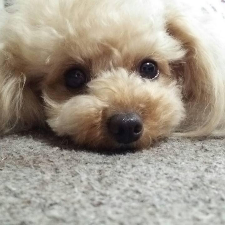 40c526d4 8660 44d5 bb3e 4964884be113 1535178377635