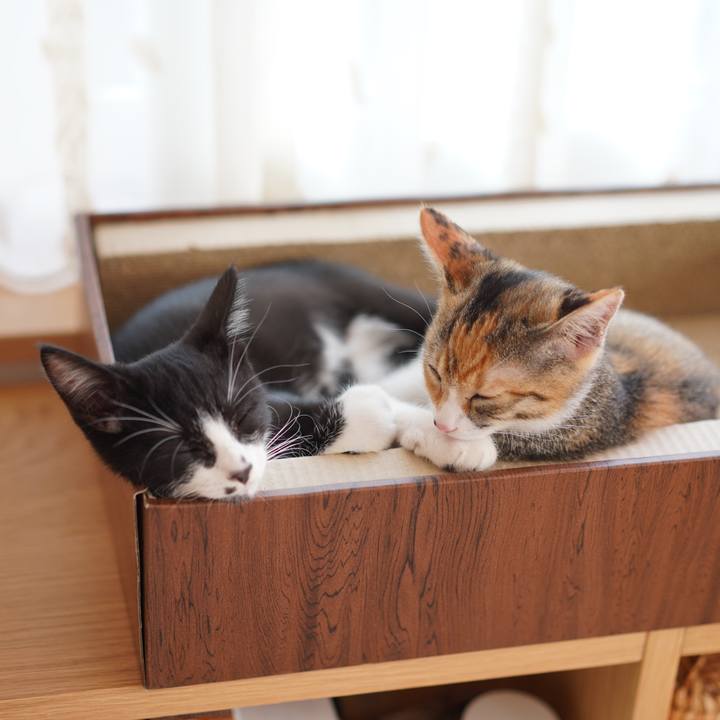 40c52d01 fc04 43ed 96ce dbb623fca9da 1657289900961