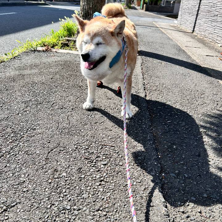 40c537da 8684 472d b99f e17428c2ccc9 1752796479944