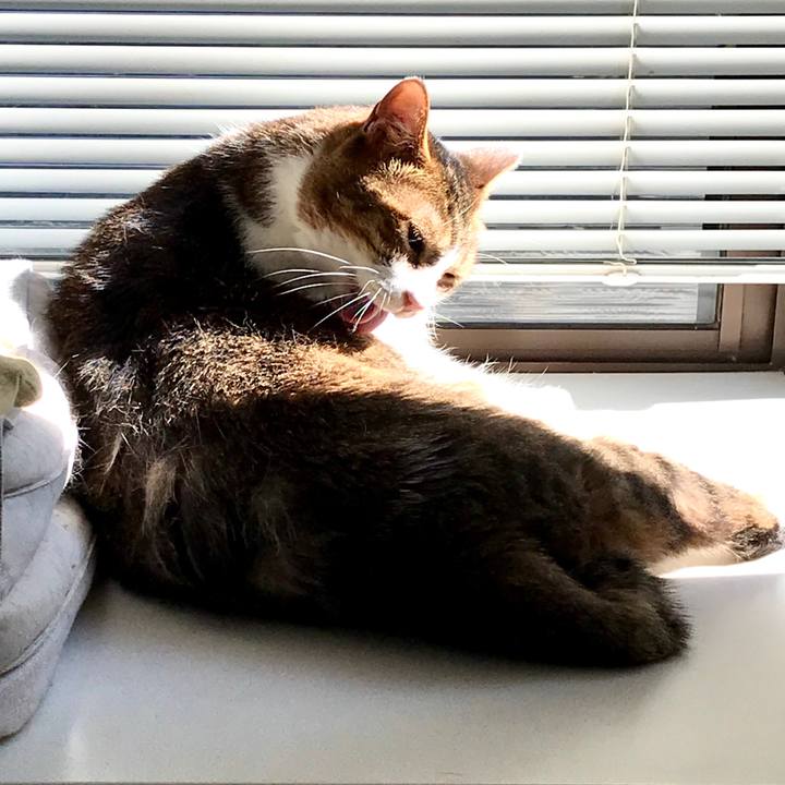 40c554e9 ab74 4a3f a38d 90718e758c6b 1599723641615