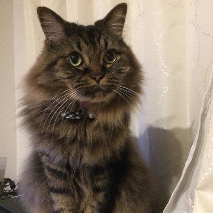 40c58891 9b01 49ae ad74 32797c185178 1531222535236