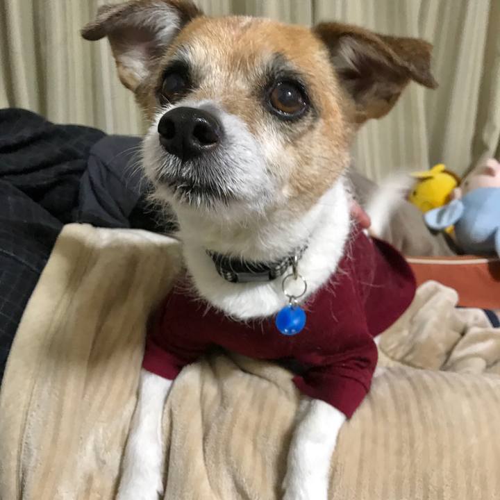 40c5a092 8f05 4910 acba d8e4cabb4fbe 1581237007173