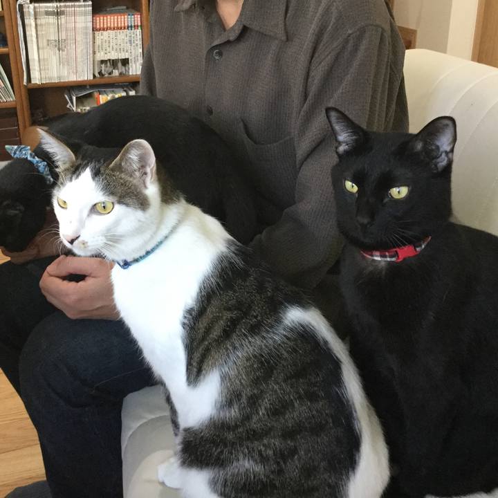 40c61df2 834c 4e5a 80f2 8d451170f166 1510376425717