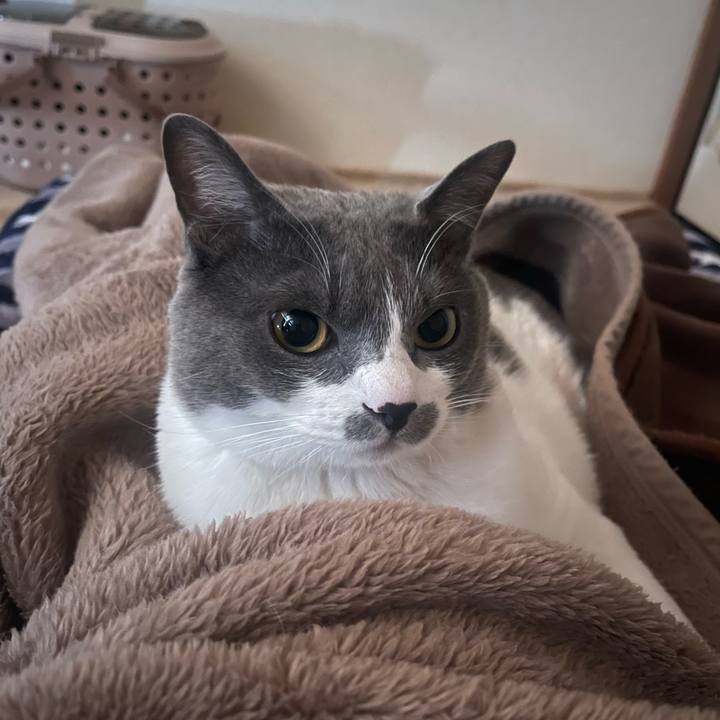 40c62a76 ea34 4fe9 bfce ed385ae03d40 1679440315836