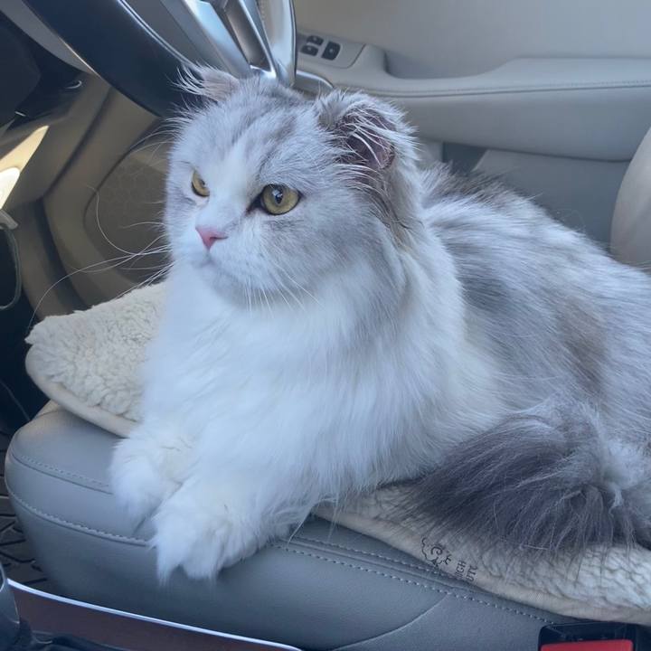 40c6afb6 cb0e 481c 8596 43dca0684dd7 1743821629044