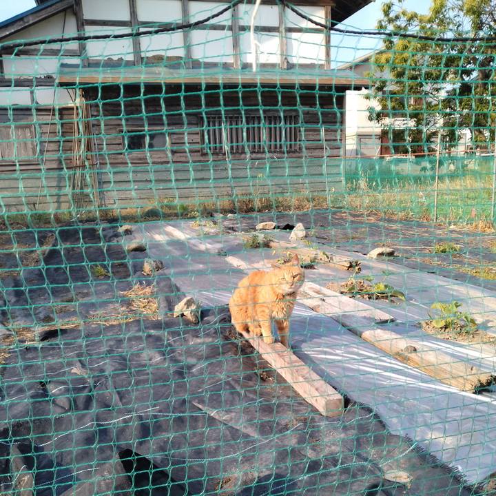 40c6ec88 5988 4c8b a646 194d1b03fb5a 1749420695032