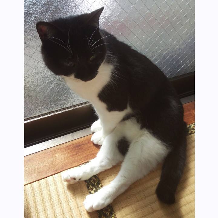 40c72874 0960 4655 88fb 52b7a79b1304 1538037229487