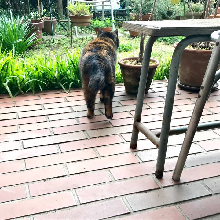 40c75705 0315 43f0 9b56 82b045e909da 1553997268784