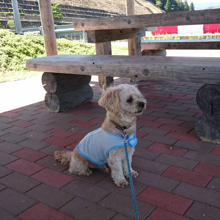 40c76385 45b1 41e5 9fd2 ad6a6034db44 1565242439038